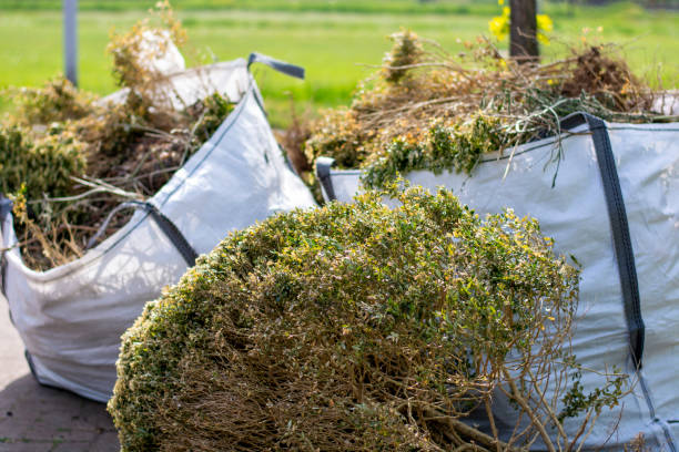 Best Household Junk Removal  in Norristown, PA